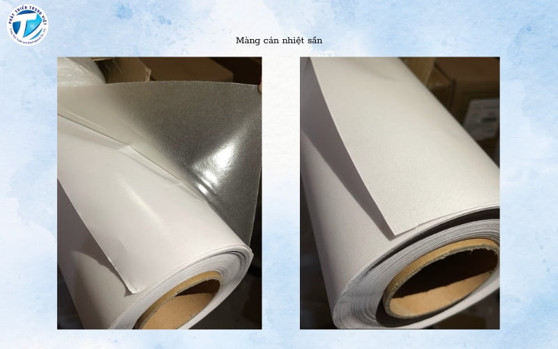 Hình ảnh màng nhiệt sần